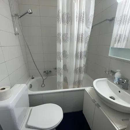 Beautiful 2 Minutes From Train Station Apartment