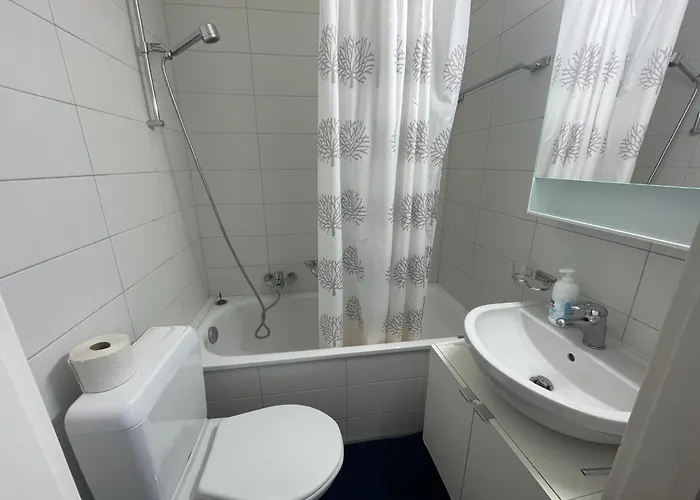 Beautiful 2 Minutes From Train Station Apartment